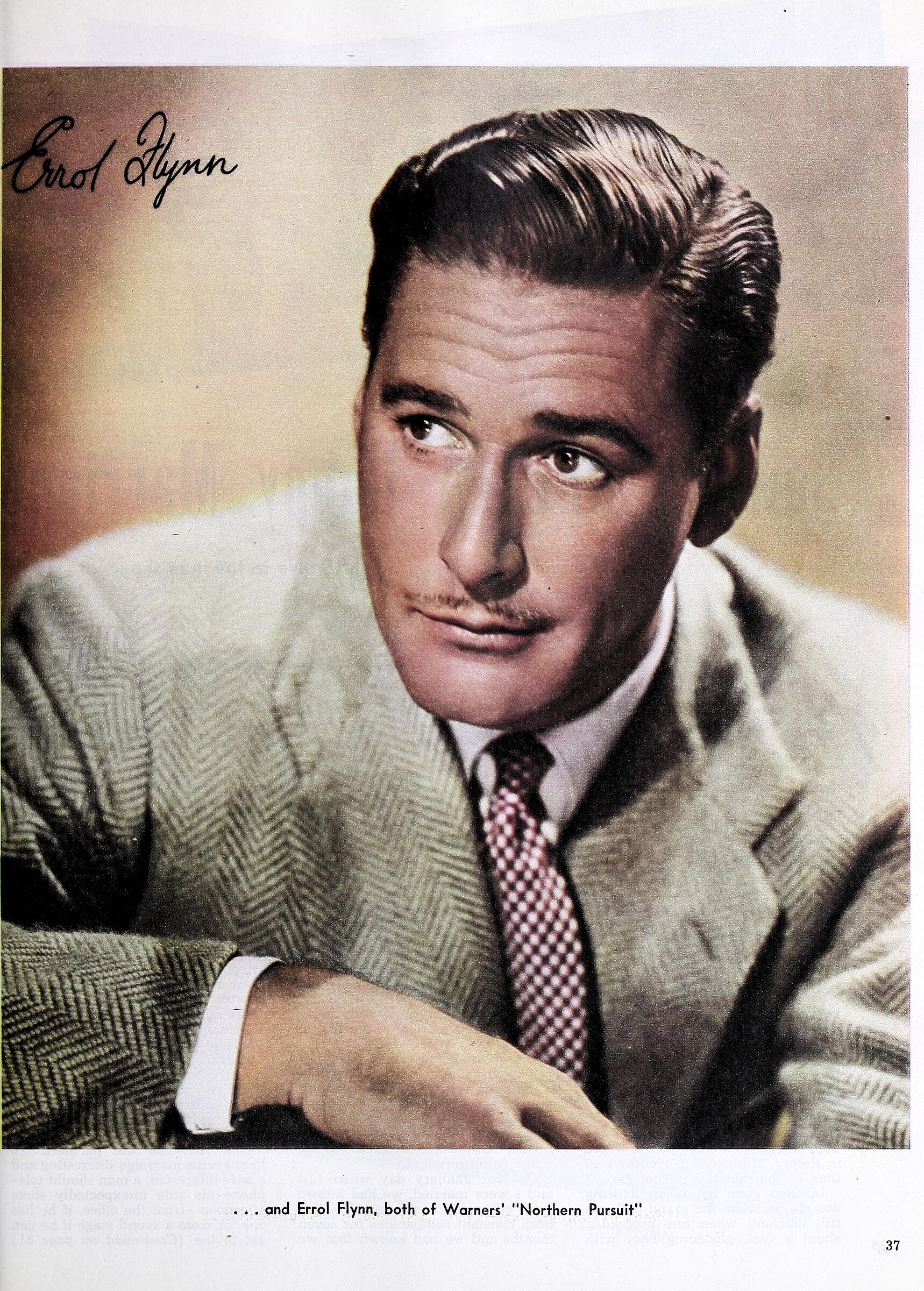 Errol Flynn in a classic Hollywood photograph, image 1