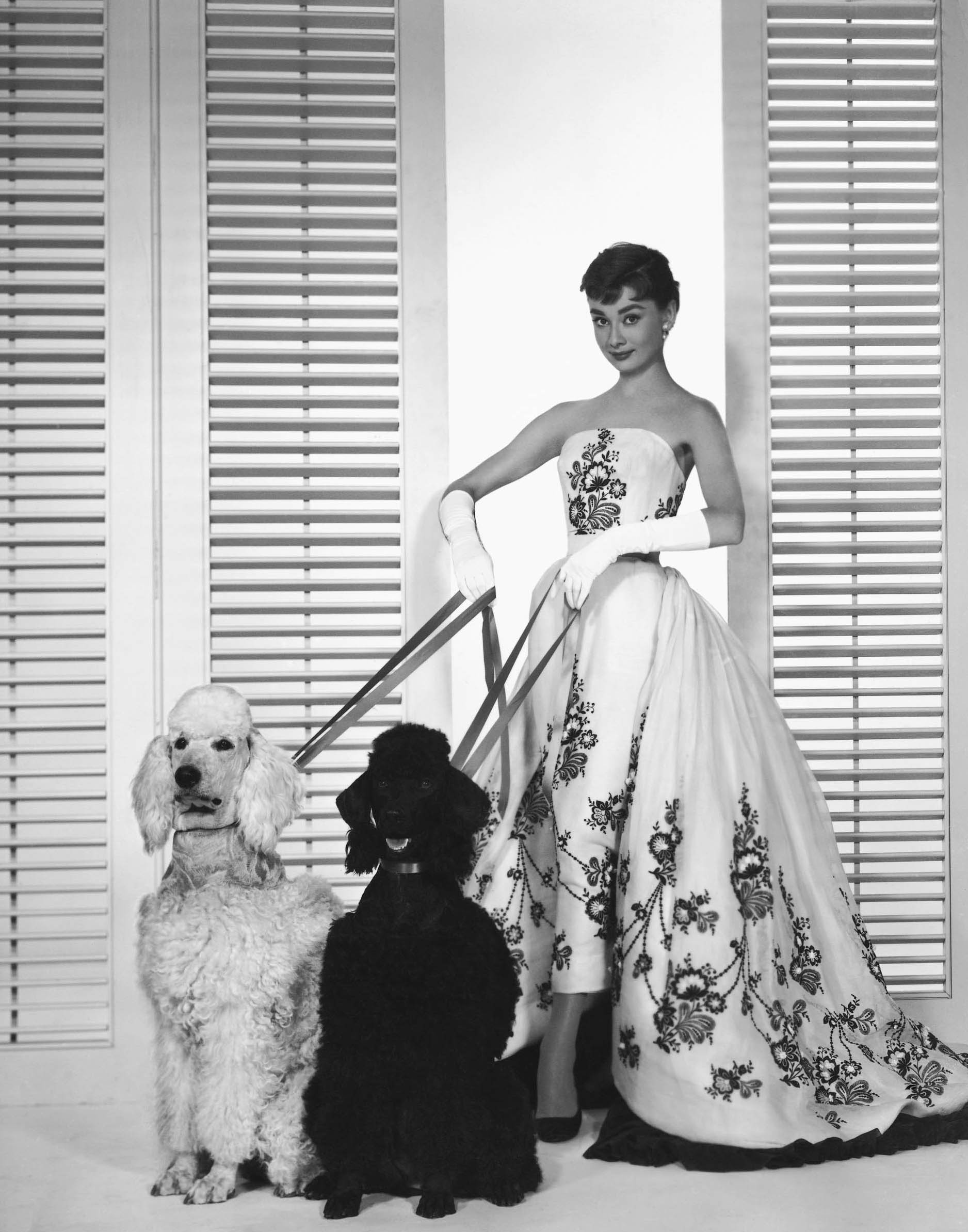 Audrey Hepburn in Sabrina.